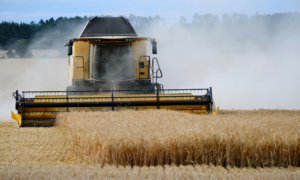 Agro (Foto: Ministério da Agricultura)