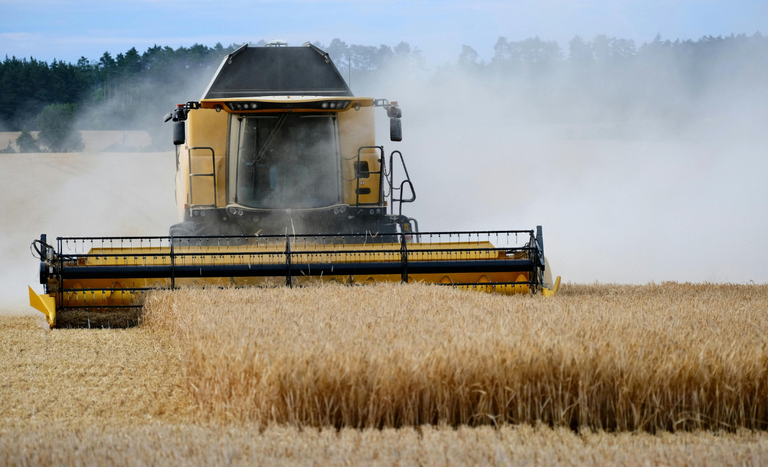 Agro (Foto: Ministério da Agricultura)