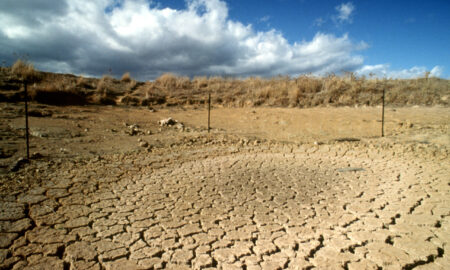 Paisagem afetada por seca (Foto: CSIRO/Divulgação via Wikimedia Commons)