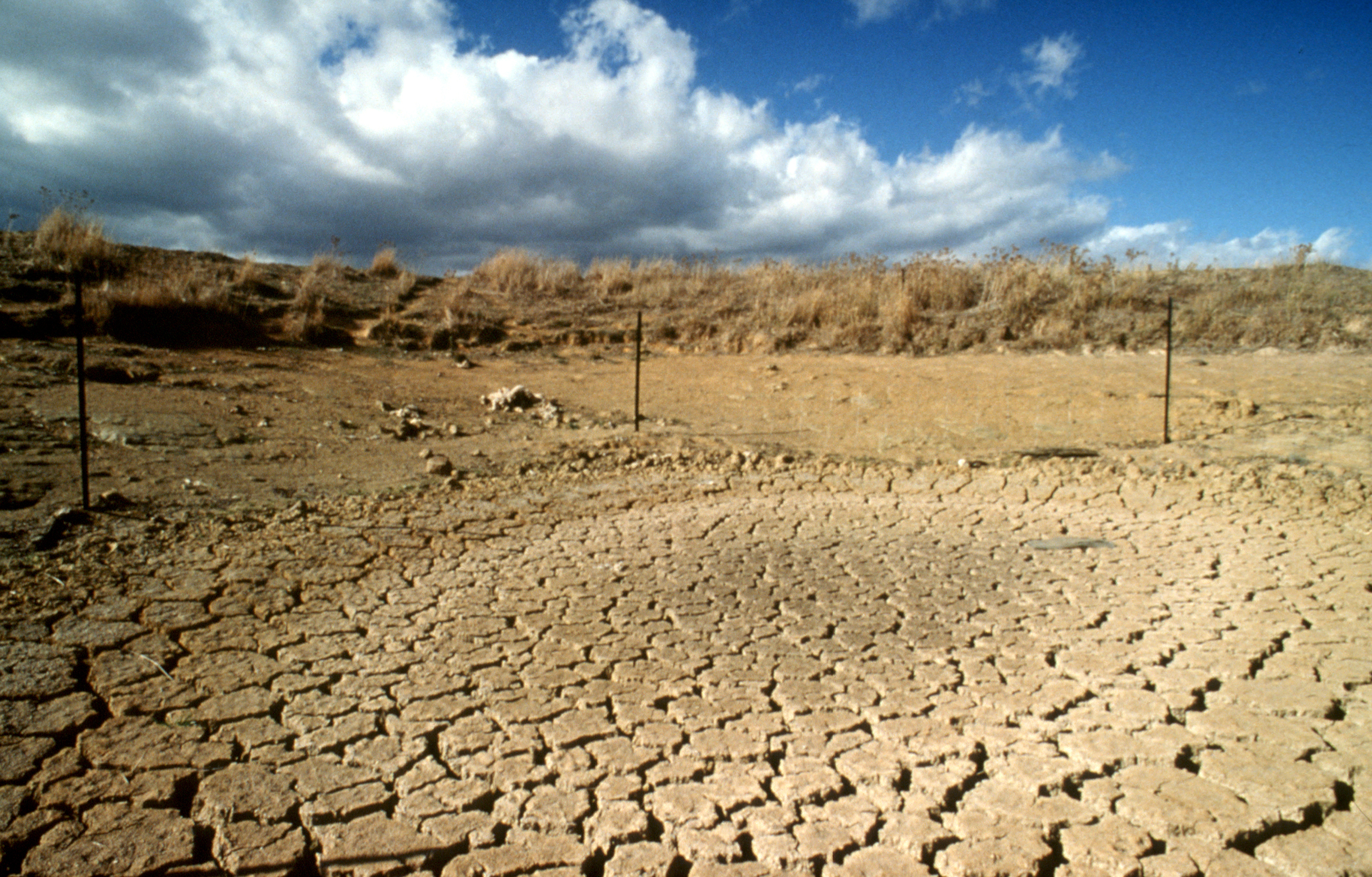 Paisagem afetada por seca (Foto: CSIRO/Divulgação via Wikimedia Commons)