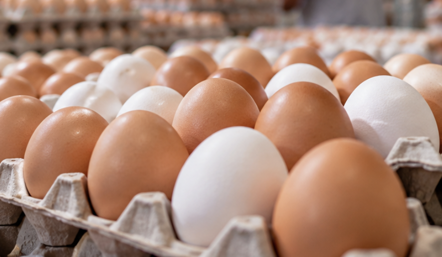 Ovos (Foto: Divulgação)